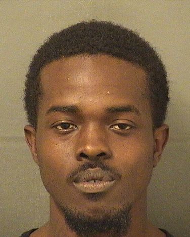  WARREN ARTAVIOUS HALLABACK Results from Palm Beach County Florida for  WARREN ARTAVIOUS HALLABACK