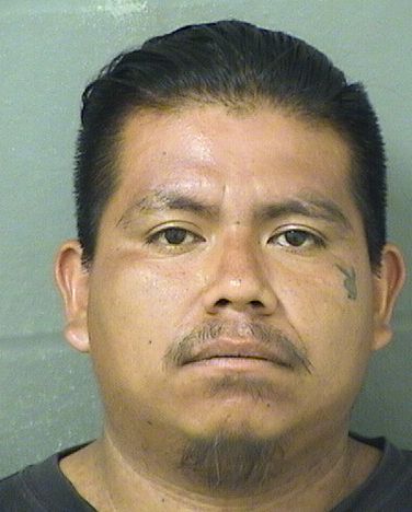  EDWIN ANTONIO PEREZ Results from Palm Beach County Florida for  EDWIN ANTONIO PEREZ