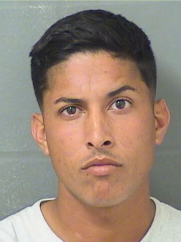  CHRISTIAN ONEILL MENDOZA Results from Palm Beach County Florida for  CHRISTIAN ONEILL MENDOZA