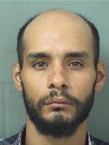  LUIS A RIVERA Results from Palm Beach County Florida for  LUIS A RIVERA