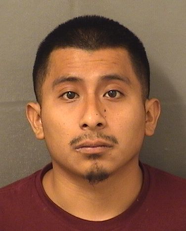  JULIO MIGUEL TOMASPEDRO Results from Palm Beach County Florida for  JULIO MIGUEL TOMASPEDRO