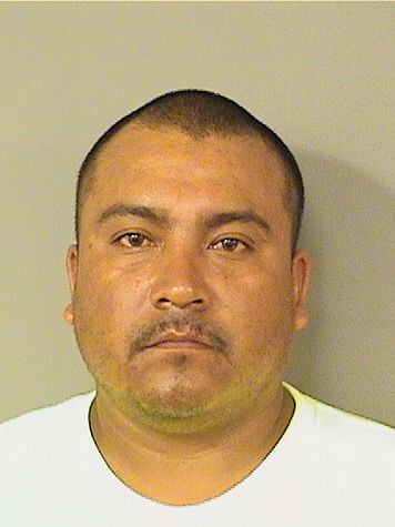  AORELIO MATA Resultados de la busqueda para Palm Beach County Florida para  AORELIO MATA