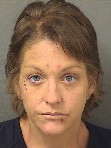  BRITNEE J HALL Results from Palm Beach County Florida for  BRITNEE J HALL