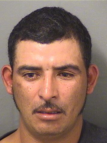 ARMANDO ANDRES REYES Results from Palm Beach County Florida for ARMANDO ANDRES REYES ARMANDO ANDRES REYES Results from Palm Beach County Florida for ARMANDO ANDRES REYES