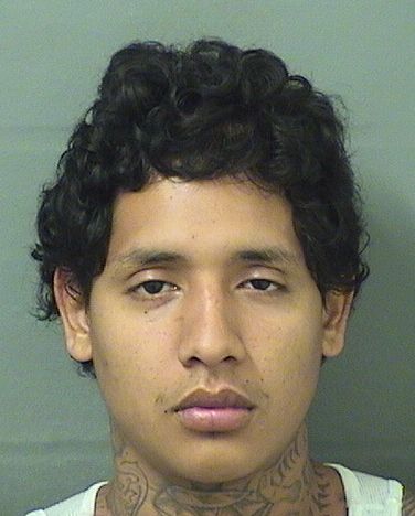  JUSTIN SALCEDO Results from Palm Beach County Florida for  JUSTIN SALCEDO