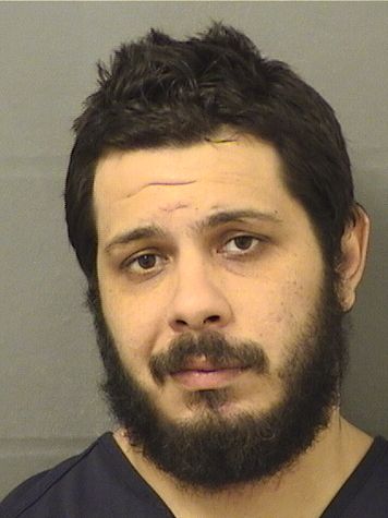  NICOLAS SCOTT LOWE Results from Palm Beach County Florida for  NICOLAS SCOTT LOWE