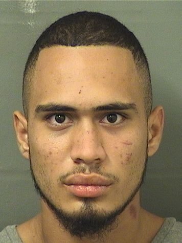  SAMUEL FELIX REYES Resultados de la busqueda para Palm Beach County Florida para  SAMUEL FELIX REYES