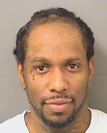  SANDRO THIERRY DUVAL Results from Palm Beach County Florida for  SANDRO THIERRY DUVAL