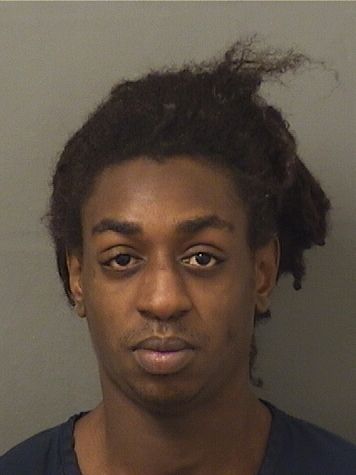  ANTHONY LANARD Jr JIMERSON Results from Palm Beach County Florida for  ANTHONY LANARD Jr JIMERSON