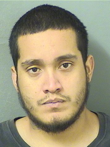  GUALTER ALFREDO VASQUEZ Results from Palm Beach County Florida for  GUALTER ALFREDO VASQUEZ
