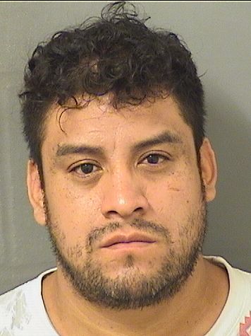  CRISTOBAL HIGINIO REYES Results from Palm Beach County Florida for  CRISTOBAL HIGINIO REYES