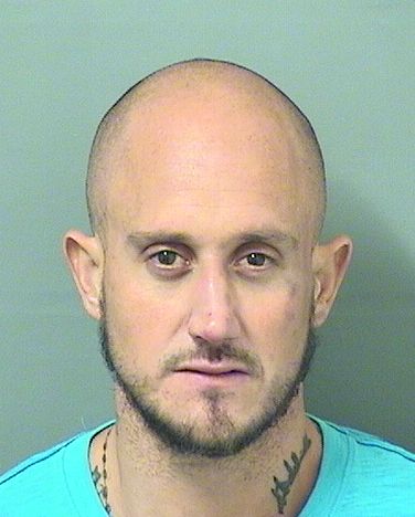  RYAN CHRISTOPHER SCHWAB Results from Palm Beach County Florida for  RYAN CHRISTOPHER SCHWAB