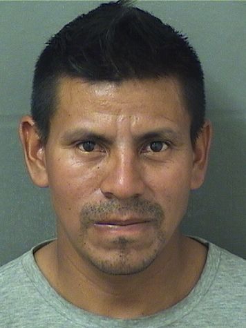  ENRIQUE GABRIEL Results from Palm Beach County Florida for  ENRIQUE GABRIEL