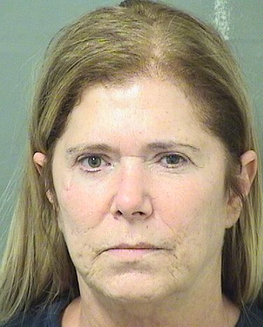  DONNA GOLDSTEIN RICE Results from Palm Beach County Florida for  DONNA GOLDSTEIN RICE