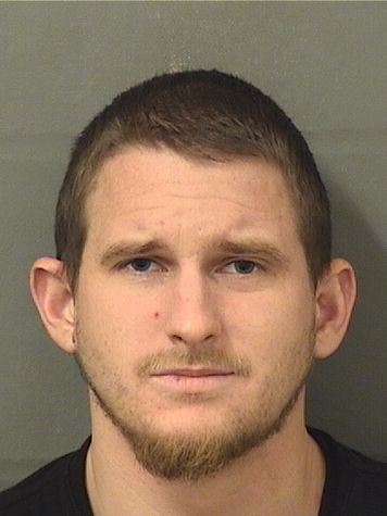  DYLAN GREGORY LOUTTIT Results from Palm Beach County Florida for  DYLAN GREGORY LOUTTIT