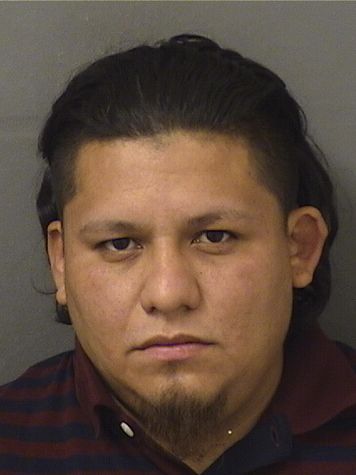  MARIO ALBERTO MORALES Results from Palm Beach County Florida for  MARIO ALBERTO MORALES