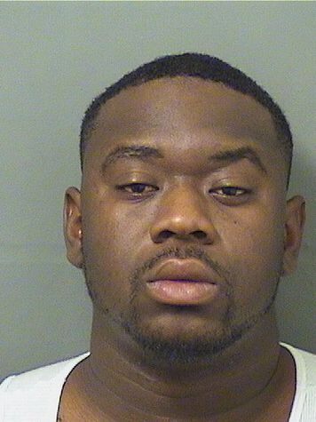  THEODORE BRONSON Resultados de la busqueda para Palm Beach County Florida para  THEODORE BRONSON