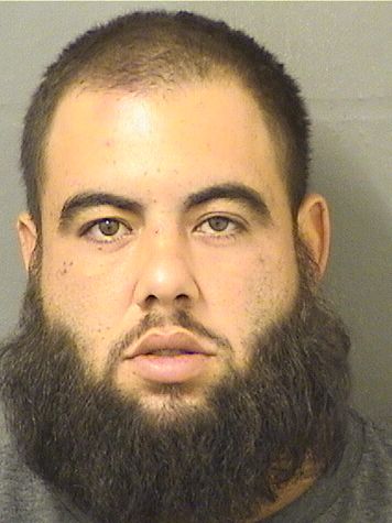  AMADIS HERNANDEZ Results from Palm Beach County Florida for  AMADIS HERNANDEZ