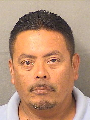  RUDY MARTINEZ HERNANDEZ Results from Palm Beach County Florida for  RUDY MARTINEZ HERNANDEZ