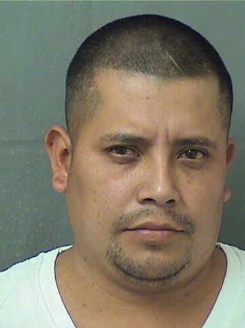  ANGEL G MARCOS Results from Palm Beach County Florida for  ANGEL G MARCOS