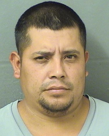  ANGEL G MARCOS Resultados de la busqueda para Palm Beach County Florida para  ANGEL G MARCOS