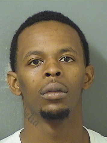  JEROME DOUGLAS Jr MITCHELL Results from Palm Beach County Florida for  JEROME DOUGLAS Jr MITCHELL