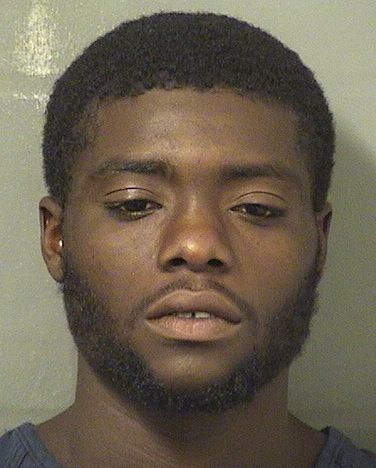  BRANDON D WILLIAMS Results from Palm Beach County Florida for  BRANDON D WILLIAMS