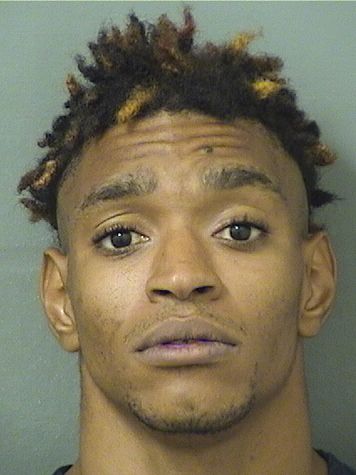  TENNYSON TYRONE ZEIGLER Results from Palm Beach County Florida for  TENNYSON TYRONE ZEIGLER