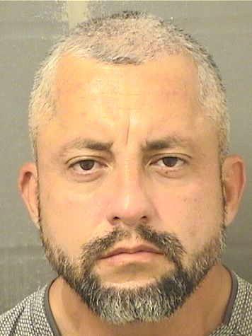  LOUIS ALBERTO APONTE Results from Palm Beach County Florida for  LOUIS ALBERTO APONTE