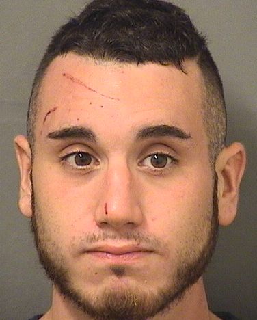 ANDREW JOSEPH MANNINO Results from Palm Beach County Florida for  ANDREW JOSEPH MANNINO