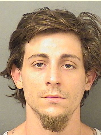  SEAN P DIDOMIZIO Resultados de la busqueda para Palm Beach County Florida para  SEAN P DIDOMIZIO