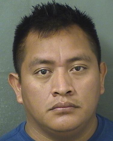  GUILLERMO DOMINGO Resultados de la busqueda para Palm Beach County Florida para  GUILLERMO DOMINGO