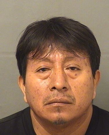  JOSE A LOPEZCAC Results from Palm Beach County Florida for  JOSE A LOPEZCAC