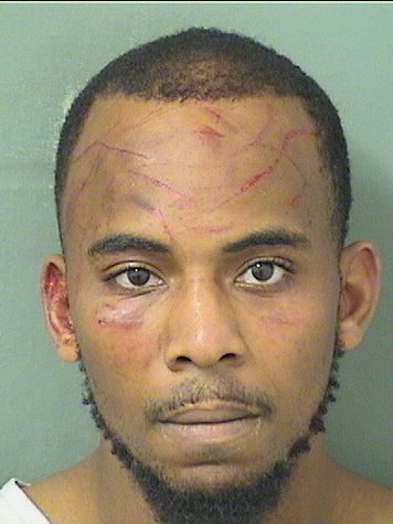  DARRIUS ANTONIOLAMAR HULBERT Results from Palm Beach County Florida for  DARRIUS ANTONIOLAMAR HULBERT