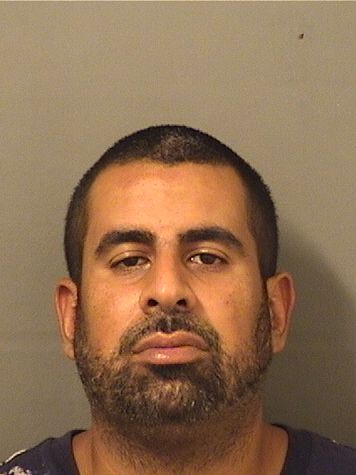  GUSTAVO A GUZMAN Results from Palm Beach County Florida for  GUSTAVO A GUZMAN