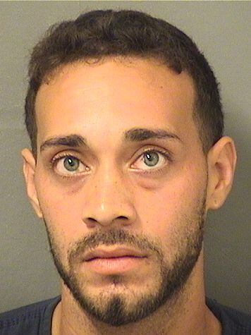  ALEX MCCAY ROSADO Results from Palm Beach County Florida for  ALEX MCCAY ROSADO