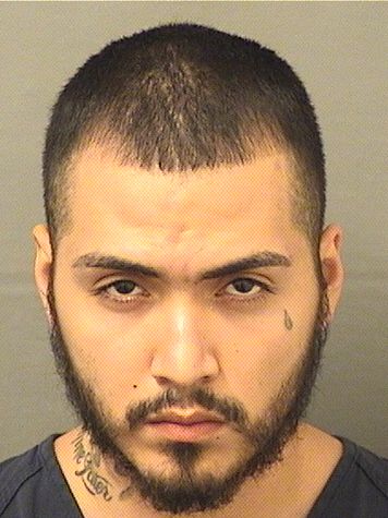  ADOLFO FUENTES Resultados de la busqueda para Palm Beach County Florida para  ADOLFO FUENTES