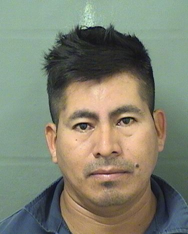  ADOLFO BALDOMERO MENDEZRAMOS Results from Palm Beach County Florida for  ADOLFO BALDOMERO MENDEZRAMOS