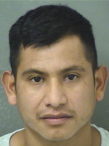  DARINEL LOPEZSAMAYOA Results from Palm Beach County Florida for  DARINEL LOPEZSAMAYOA