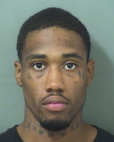  DAYAN MICHAEL WILLIAMS Results from Palm Beach County Florida for  DAYAN MICHAEL WILLIAMS