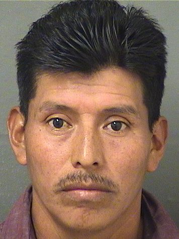  SANTIAGO MANUEL GONZALEZ Results from Palm Beach County Florida for  SANTIAGO MANUEL GONZALEZ