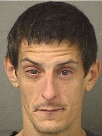  DAVID ANTHONY COOLE Results from Palm Beach County Florida for  DAVID ANTHONY COOLE