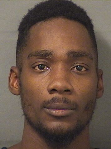  KENNETH LENARD J HAMON Results from Palm Beach County Florida for  KENNETH LENARD J HAMON