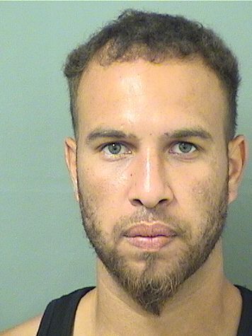  MANUEL E PEREZRIOS Results from Palm Beach County Florida for  MANUEL E PEREZRIOS