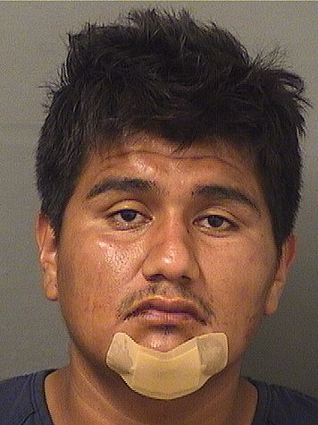  JORDIN CASTRO Results from Palm Beach County Florida for  JORDIN CASTRO