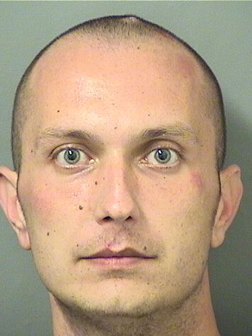  TUDOR TACORIAN Results from Palm Beach County Florida for  TUDOR TACORIAN