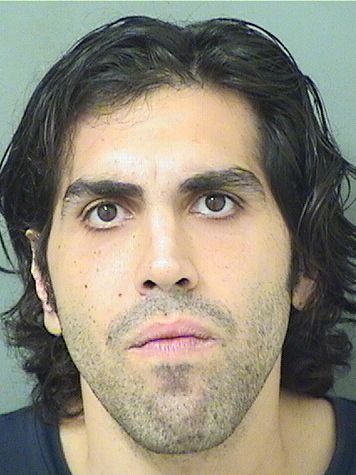  PIOM MIR GHAFFARITABRIZI Results from Palm Beach County Florida for  PIOM MIR GHAFFARITABRIZI