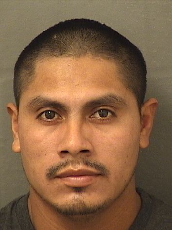  ADAM BAEZ Photo For  ADAM BAEZ