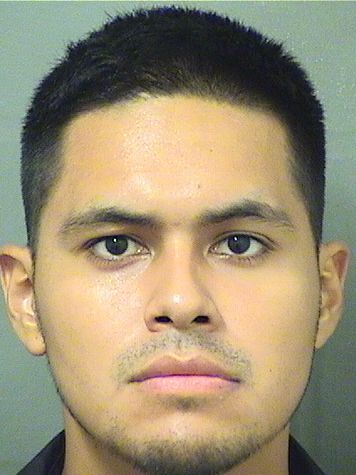  DANIEL E PINEDO Results from Palm Beach County Florida for  DANIEL E PINEDO