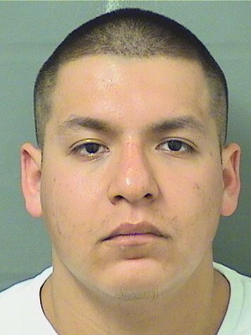  CHRISTIAN SALINASSALANIS Results from Palm Beach County Florida for  CHRISTIAN SALINASSALANIS